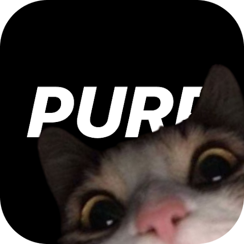 purp软件图标