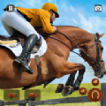 马术赛马娘（Horse Riding）游戏图标