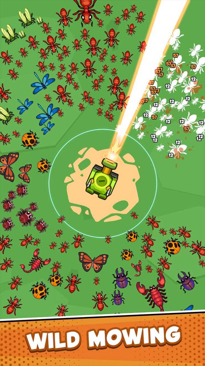 War of insect手机版图3
