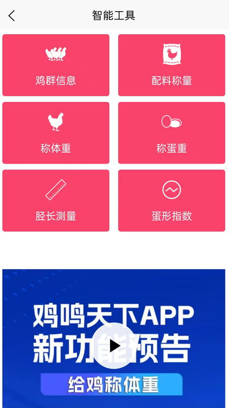 鸡鸣天下app