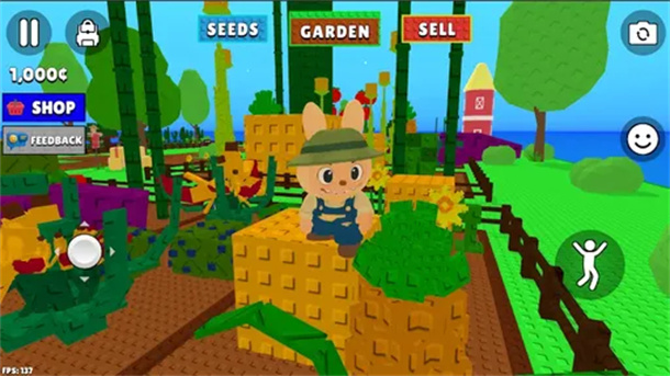 Grow a Garden: Plant & Harvest游戏