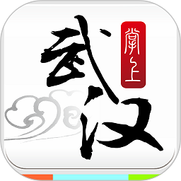 掌上武汉app图标