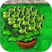 疯狂植物保卫战游戏图标