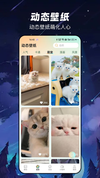 梦幻乐园壁纸app