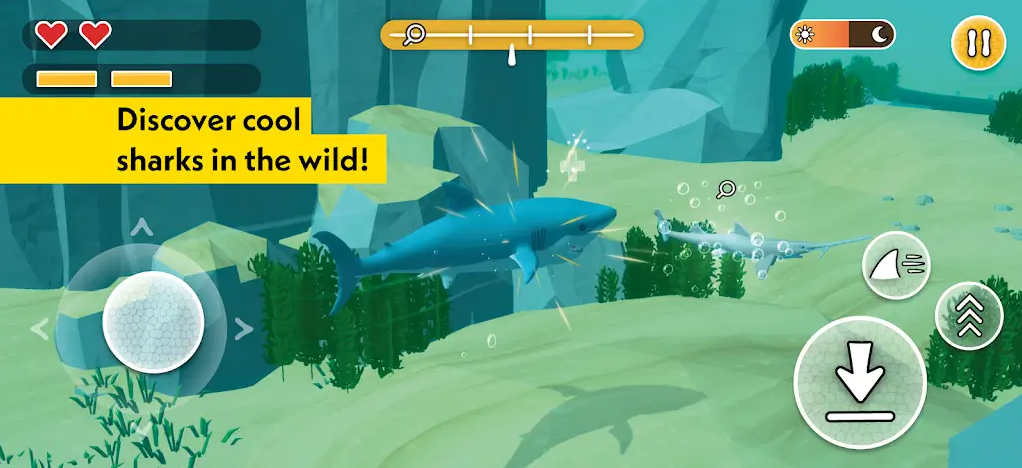 惊奇星球鲨鱼（PLANET WOW Sharks）游戏图2