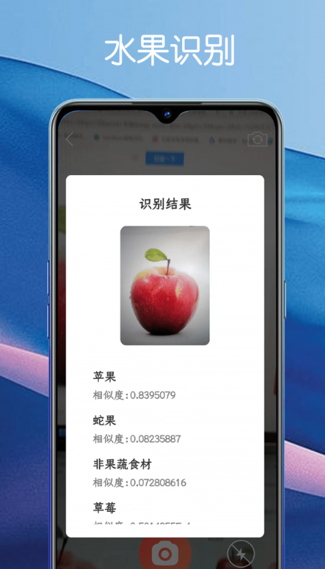 堆堆宝app