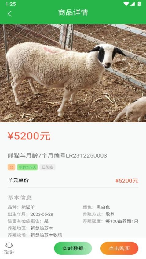 我在草原有只羊app