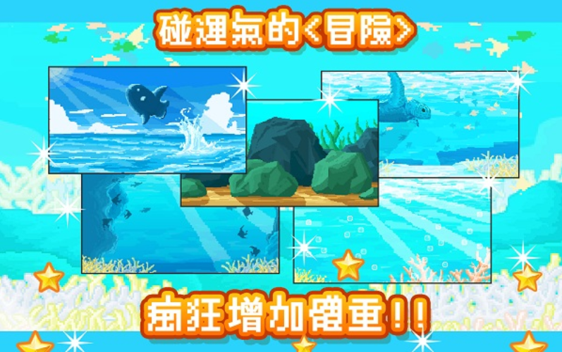 曼波魚游戏