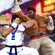 Street Fighting Shadow Gang图标