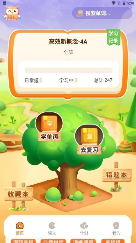 知词app