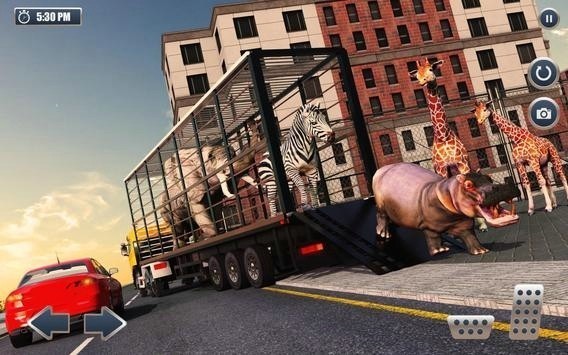 Animal Transport Truck Offroad