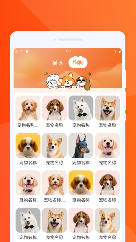 宠物社交互动翻译app图2