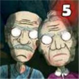 爷爷和奶奶5起源(Granny and Grandpa 5 Origin安装器)图标