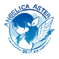 ANGELICA ASTER安装器图标