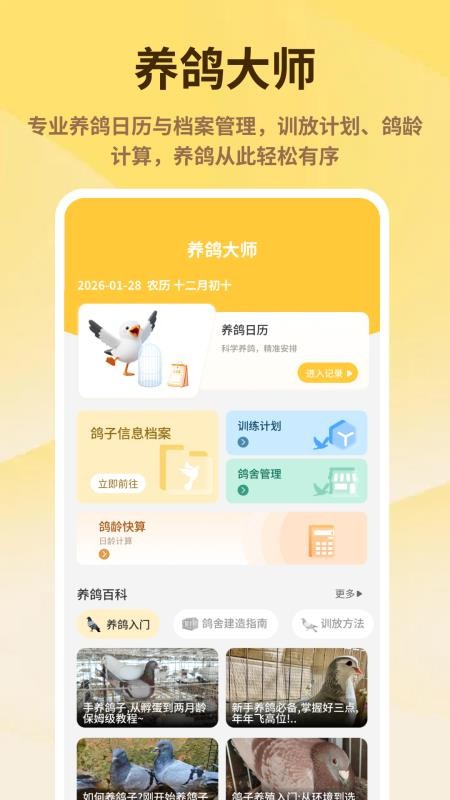 神奇的鸽子软件