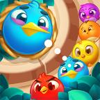 Little Bird Evolution游戏图标