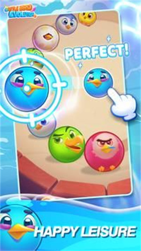 Little Bird Evolution游戏图1