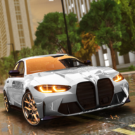 Driving School Simulator : EVO游戏图标