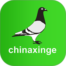 中信网-信鸽信息网app图标