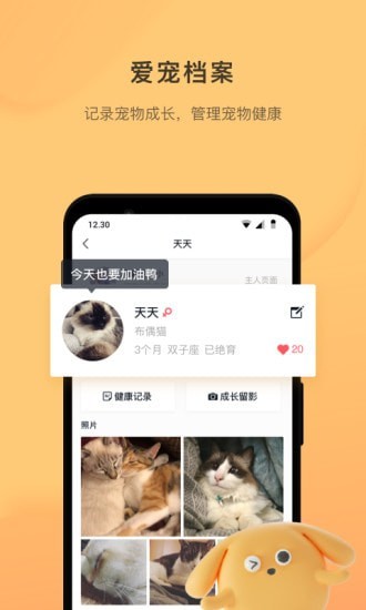 宠明app图1