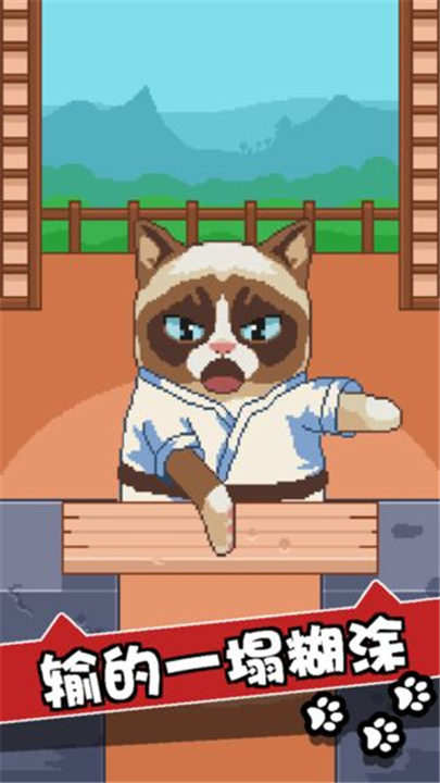 不爽猫（Grumpy Cat）游戏图2