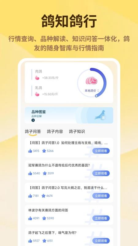 神奇的鸽子软件图1