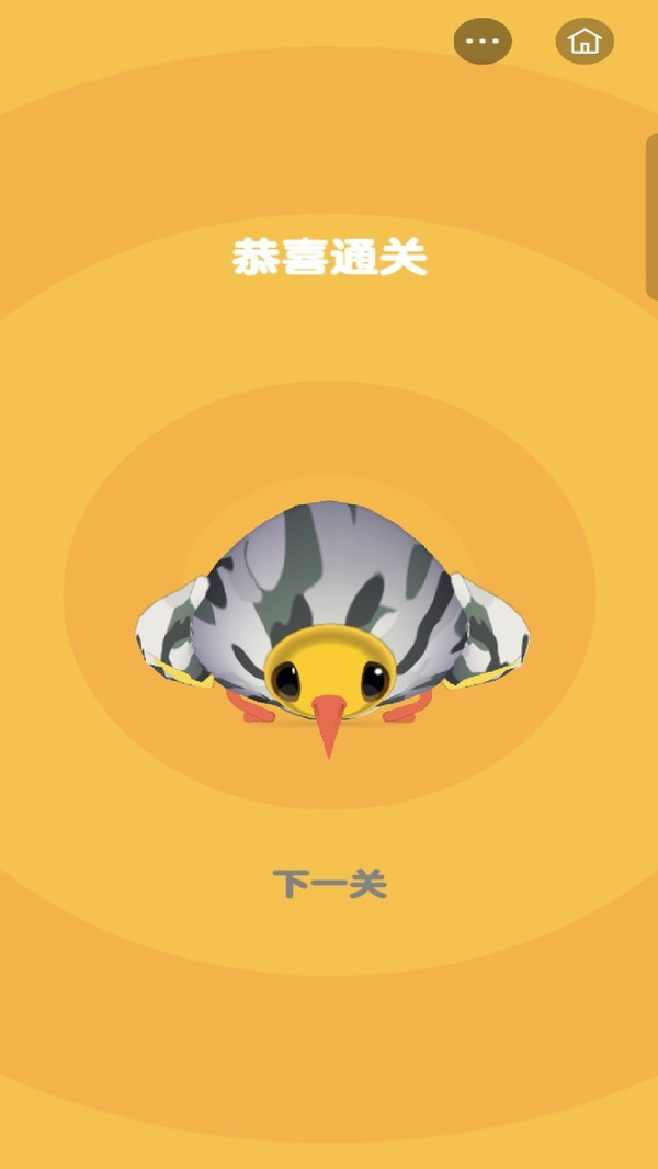 逆袭菜鸟营游戏图2