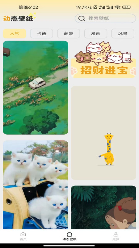全景视界壁纸app图2