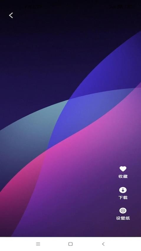 天天竖屏最新版图3