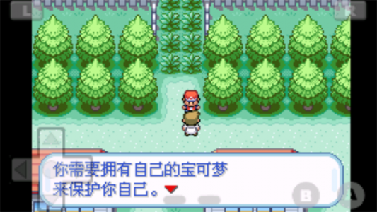 口袋妖怪火红可存档完美版游戏图1