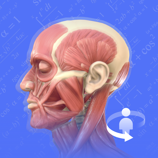 人体3D解剖图谱app图标