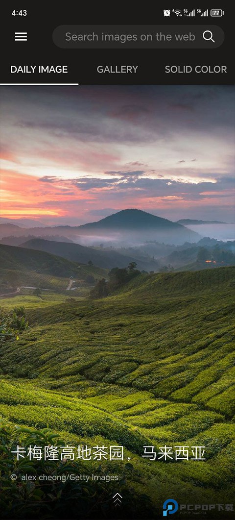 Wallpapers软件图2