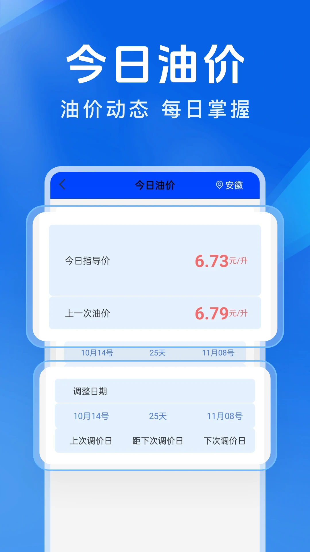 车辆违章代码快查软件图4