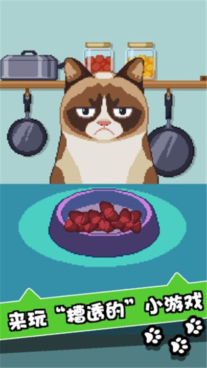 不爽猫（Grumpy Cat）游戏图1