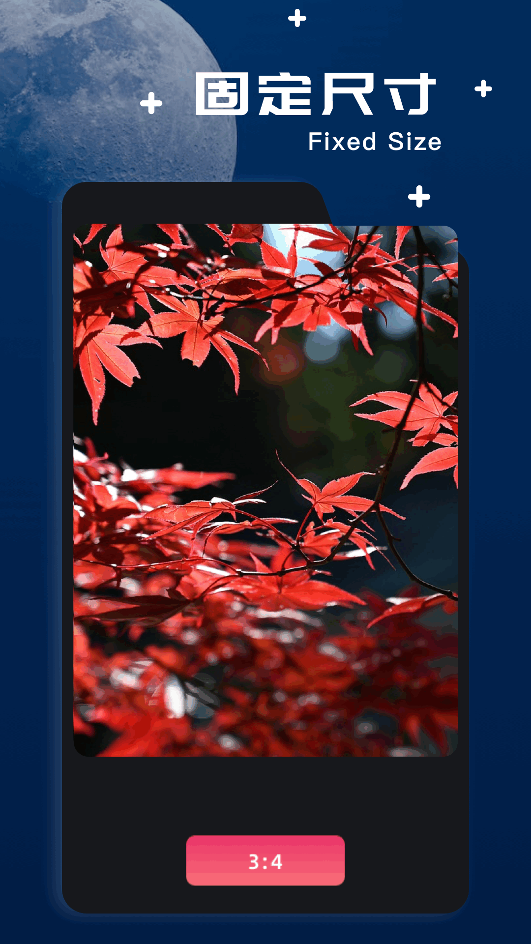 文件极客app图2