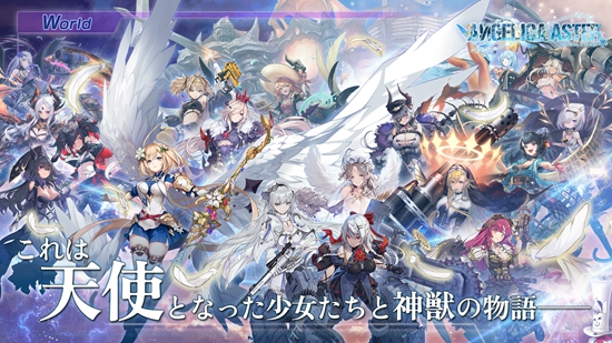 ANGELICA ASTER安装器图3