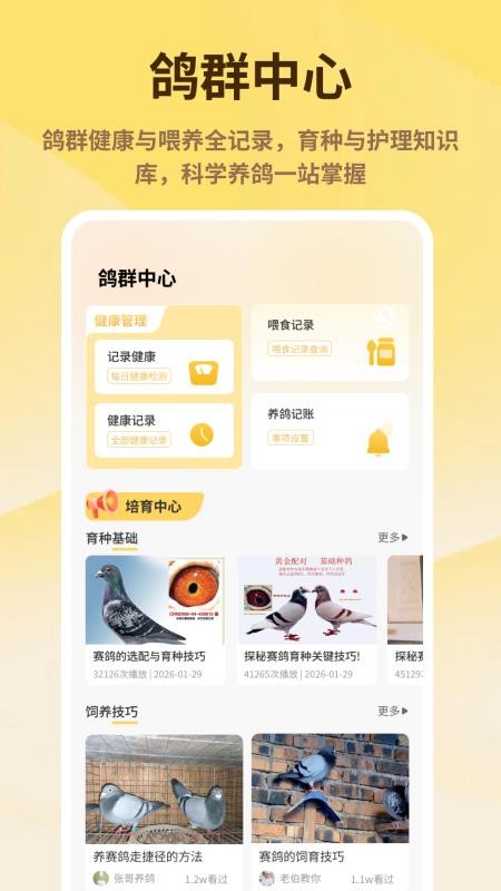 神奇的鸽子软件图3