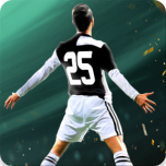 Football Cup Pro 2025游戏图标