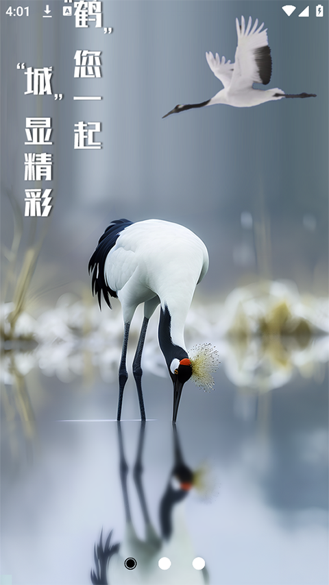 鹤城在线官网版图2