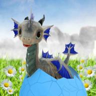 Flying Dragon Sim图标