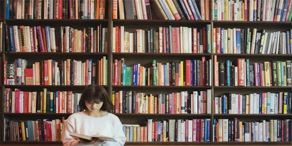 好用的小说软件