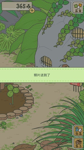 旅行青蛙破解版