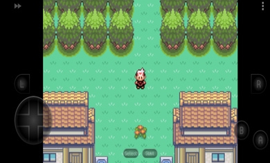 口袋妖怪漆黑的魅影金手指图2