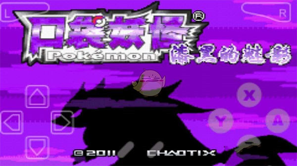 口袋妖怪漆黑的魅影金手指