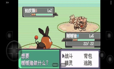 口袋妖怪漆黑的魅影金手指