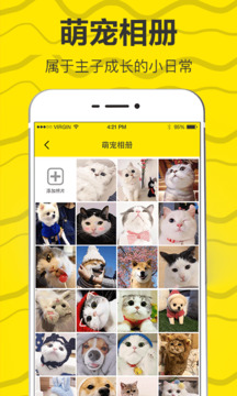 猫语翻译器真正版