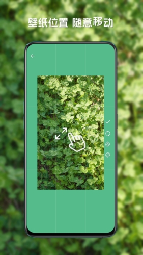 星咩视频壁纸app图2