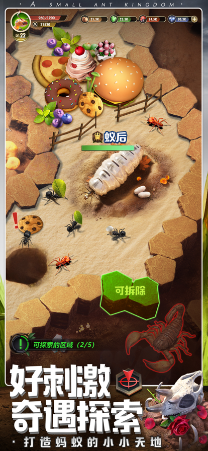 小小蚁国九游版图1