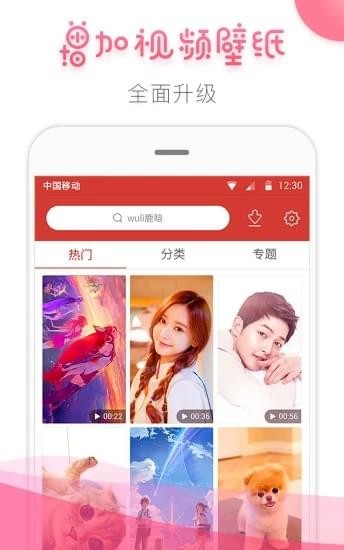 桔子壁纸app