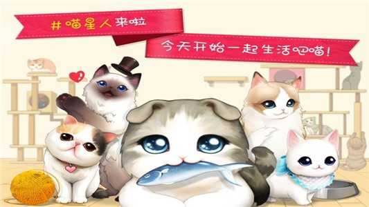 猫猫咖啡屋2024最新版图4
